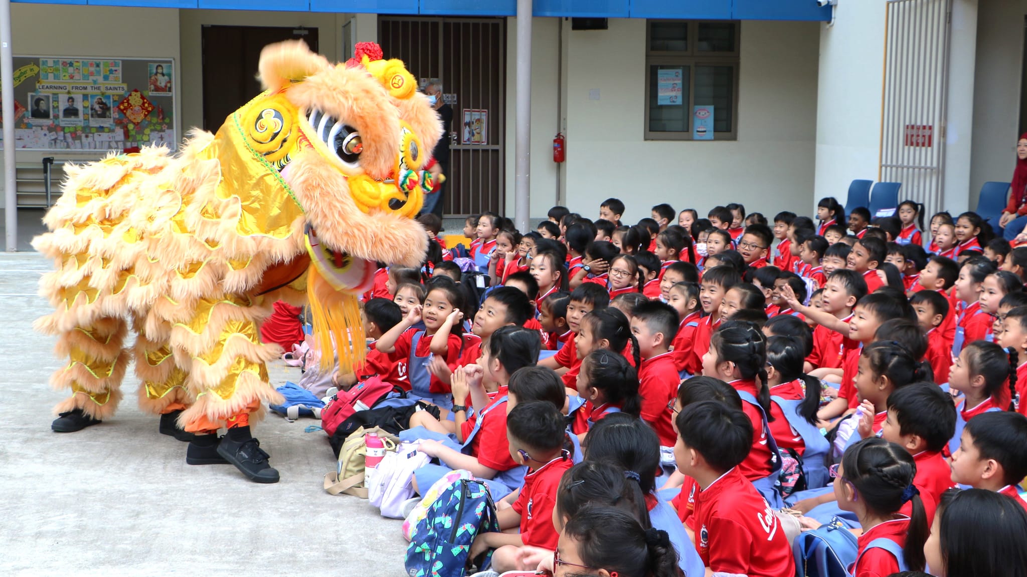 Chinese New Year Celebration